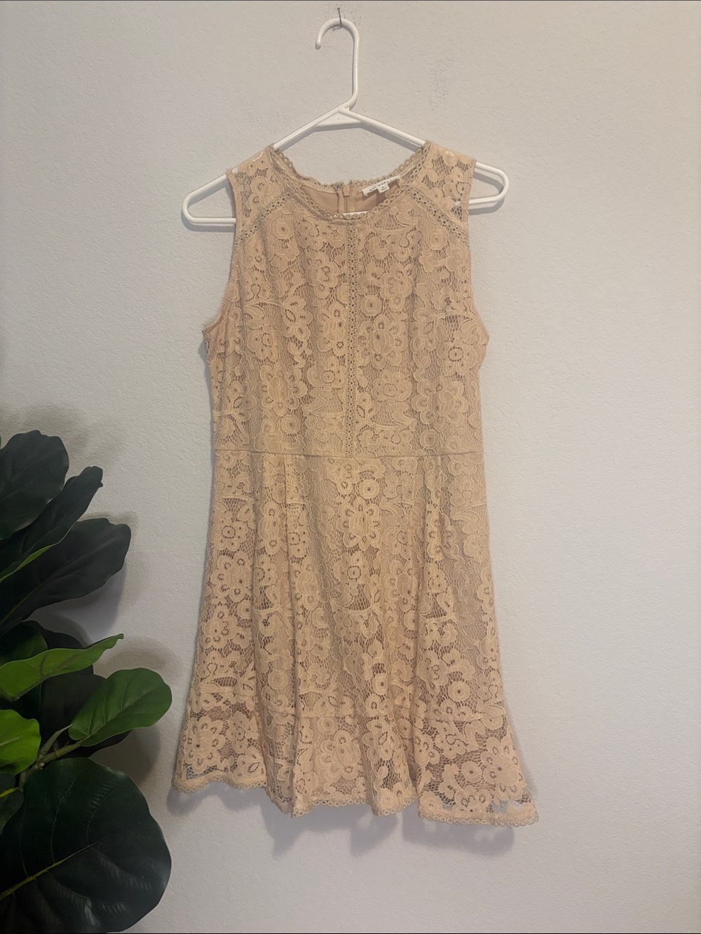 NWT Blu Pepper Beige Floral Lace Fit & Flare Dress large